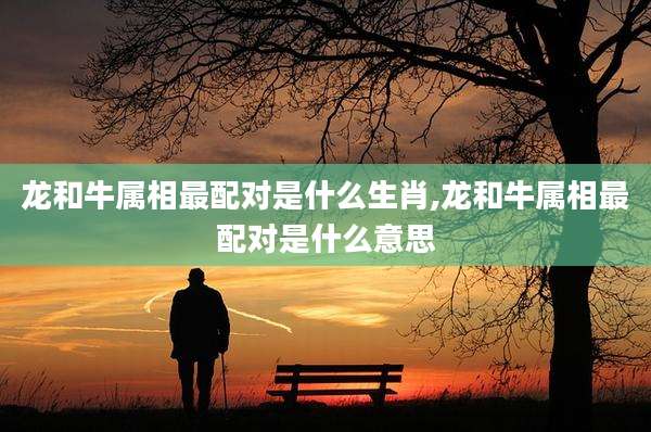 龙和牛属相最配对是什么生肖,龙和牛属相最配对是什么意思