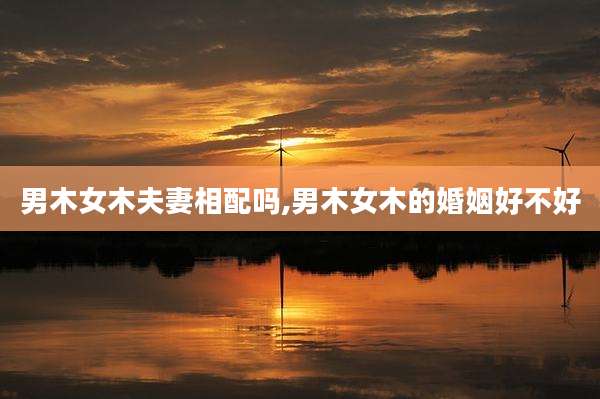 男木女木夫妻相配吗,男木女木的婚姻好不好