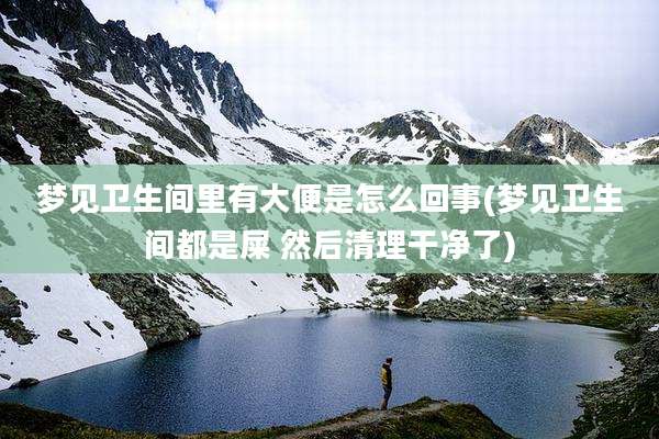 梦见卫生间里有大便是怎么回事(梦见卫生间都是屎 然后清理干净了)