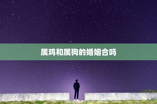 属鸡和属狗的婚姻合吗