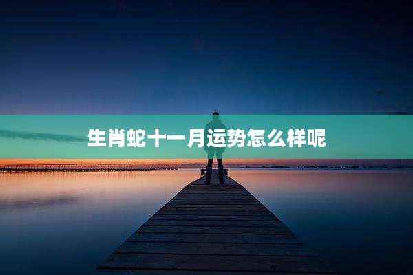 生肖蛇十一月运势怎么样呢
