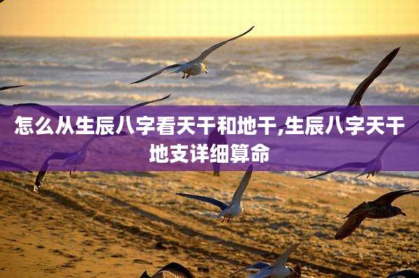 怎么从生辰八字看天干和地干,生辰八字天干地支详细算命