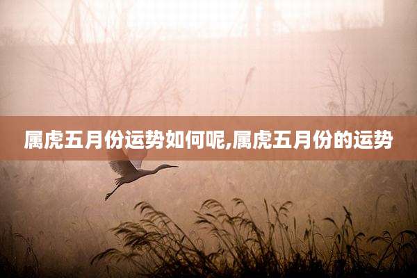 属虎五月份运势如何呢,属虎五月份的运势