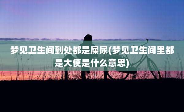 梦见卫生间到处都是屎尿(梦见卫生间里都是大便是什么意思)