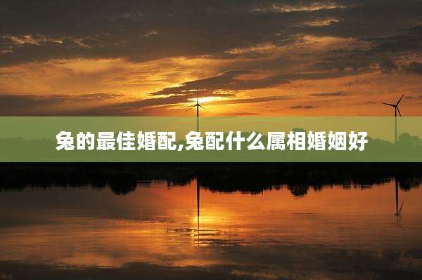 兔的最佳婚配,兔配什么属相婚姻好