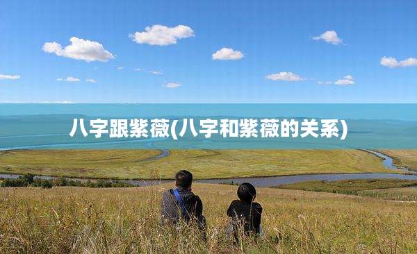 八字跟紫薇(八字和紫薇的关系)