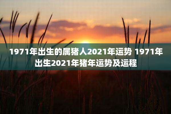 1971年出生的属猪人2021年运势 1971年出生2021年猪年运势及运程