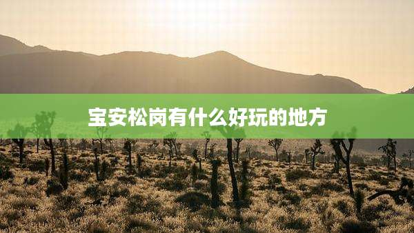 宝安松岗有什么好玩的地方