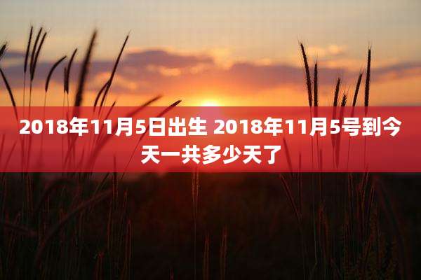 2018年11月5日出生 2018年11月5号到今天一共多少天了