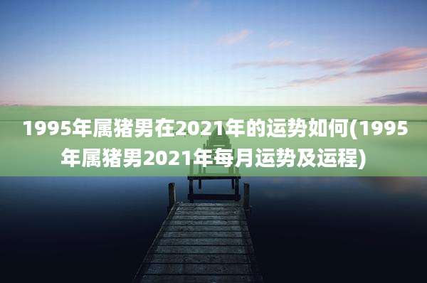 1995年属猪男在2021年的运势如何(1995年属猪男2021年每月运势及运程)