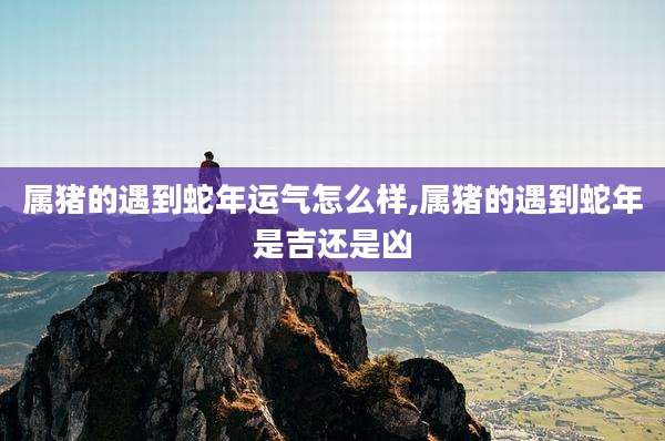 属猪的遇到蛇年运气怎么样,属猪的遇到蛇年是吉还是凶