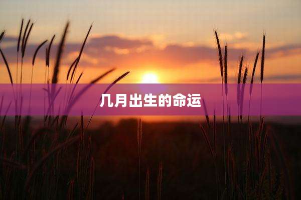 几月出生的命运