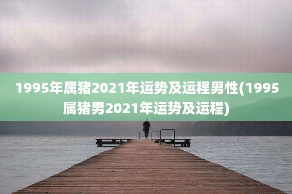 1995年属猪2021年运势及运程男性(1995属猪男2021年运势及运程)