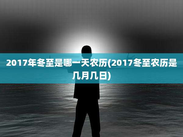 2017年冬至是哪一天农历(2017冬至农历是几月几日)