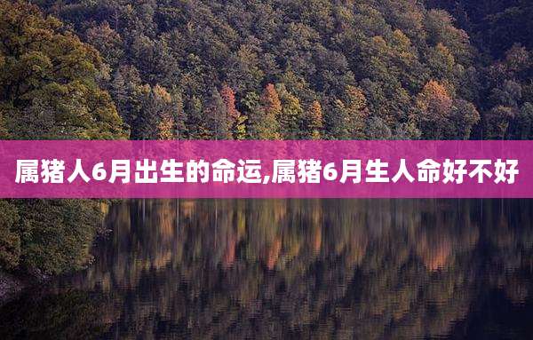 属猪人6月出生的命运,属猪6月生人命好不好