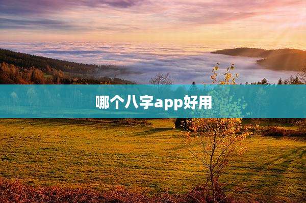 哪个八字app好用