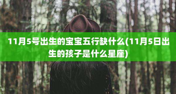 11月5号出生的宝宝五行缺什么(11月5日出生的孩子是什么星座)