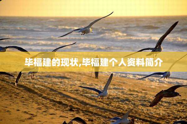 毕福建的现状,毕福建个人资料简介