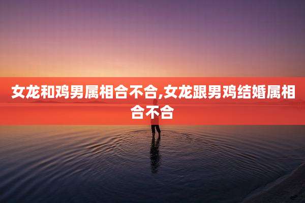 女龙和鸡男属相合不合,女龙跟男鸡结婚属相合不合