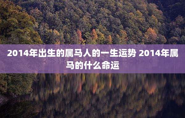 2014年出生的属马人的一生运势 2014年属马的什么命运