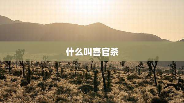 什么叫喜官杀