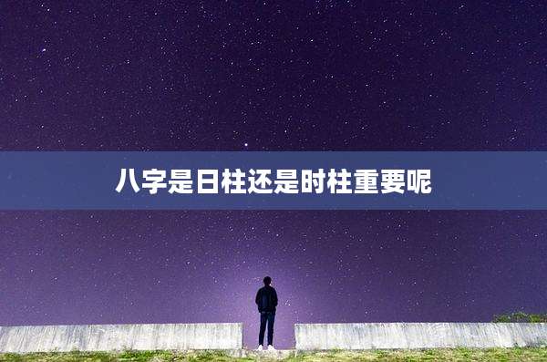 八字是日柱还是时柱重要呢