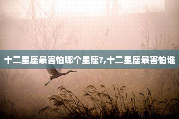 十二星座最害怕哪个星座?,十二星座最害怕谁