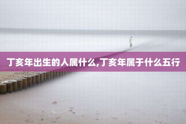 丁亥年出生的人属什么,丁亥年属于什么五行