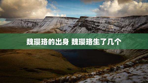 魏璎珞的出身 魏璎珞生了几个