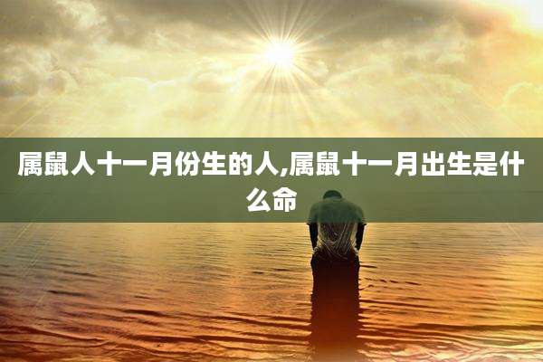 属鼠人十一月份生的人,属鼠十一月出生是什么命
