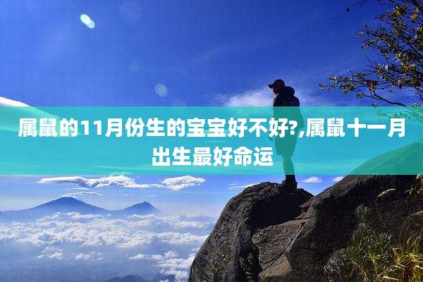 属鼠的11月份生的宝宝好不好?,属鼠十一月出生最好命运