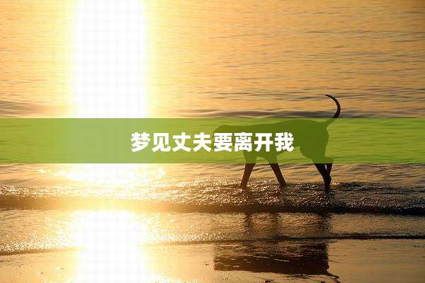 梦见丈夫要离开我