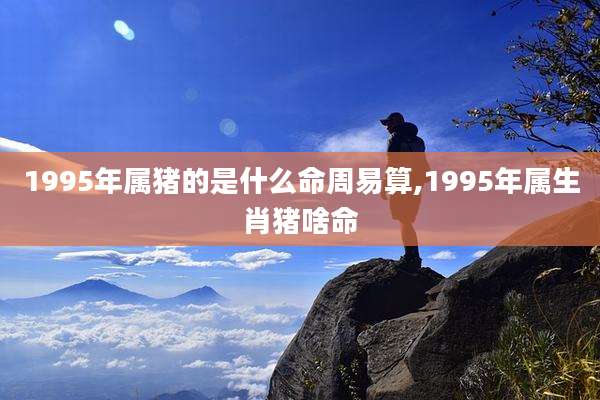 1995年属猪的是什么命周易算,1995年属生肖猪啥命