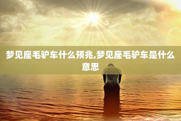 梦见座毛驴车什么预兆,梦见座毛驴车是什么意思
