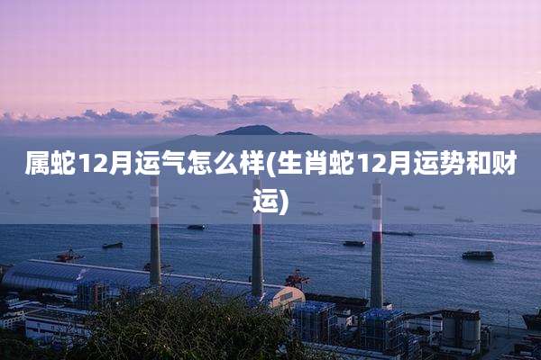 属蛇12月运气怎么样(生肖蛇12月运势和财运)