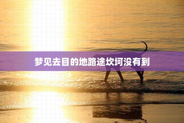 梦见去目的地路途坎坷没有到