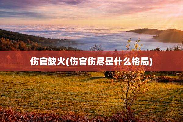 伤官缺火(伤官伤尽是什么格局)