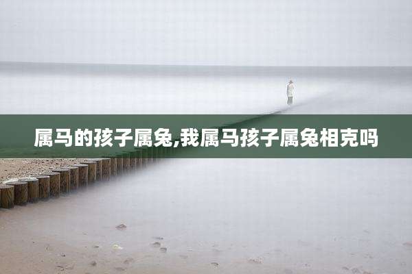 属马的孩子属兔,我属马孩子属兔相克吗