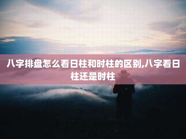 八字排盘怎么看日柱和时柱的区别,八字看日柱还是时柱