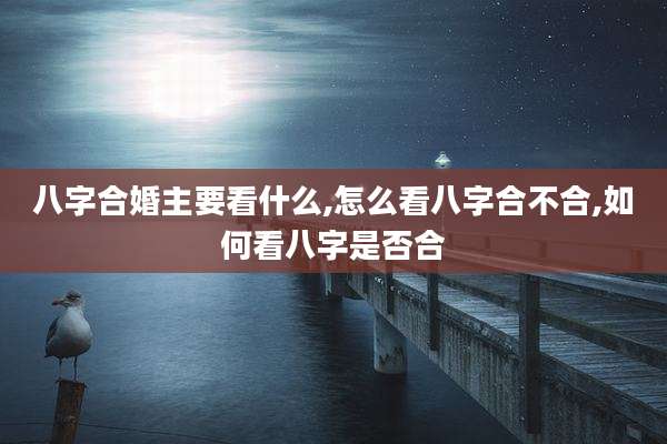八字合婚主要看什么,怎么看八字合不合,如何看八字是否合