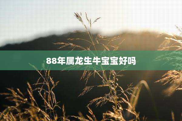 88年属龙生牛宝宝好吗