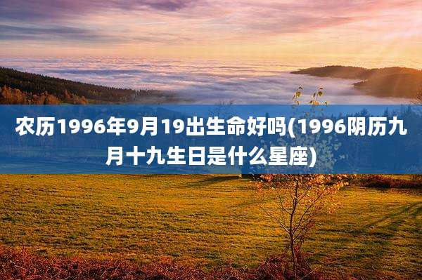 农历1996年9月19出生命好吗(1996阴历九月十九生日是什么星座)