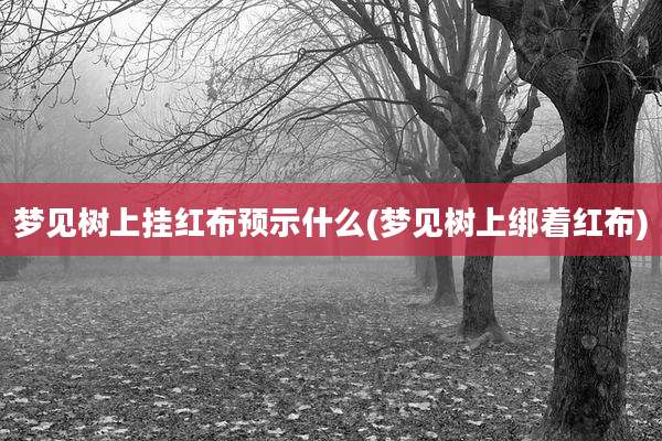 梦见树上挂红布预示什么(梦见树上绑着红布)