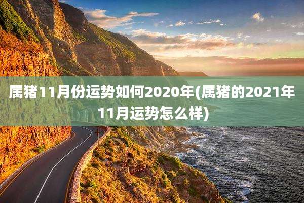 属猪11月份运势如何2020年(属猪的2021年11月运势怎么样)