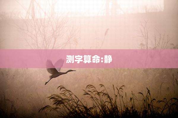 测字算命:静