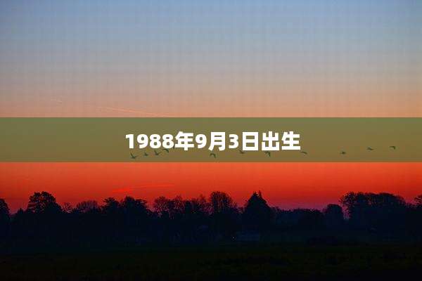 1988年9月3日出生