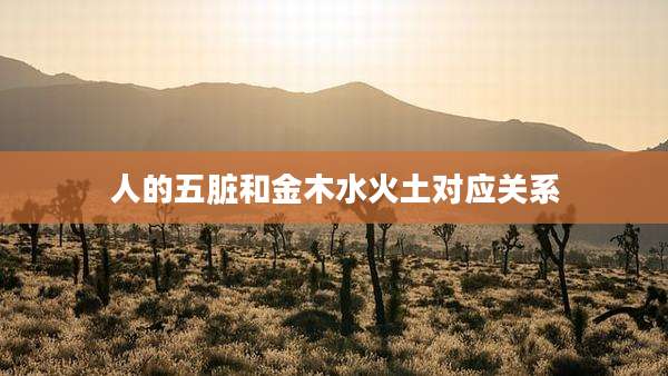 人的五脏和金木水火土对应关系