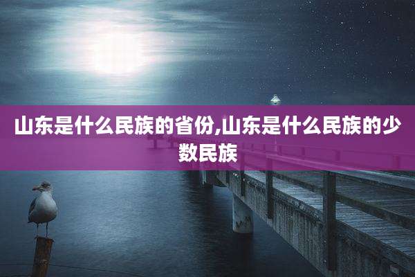 山东是什么民族的省份,山东是什么民族的少数民族