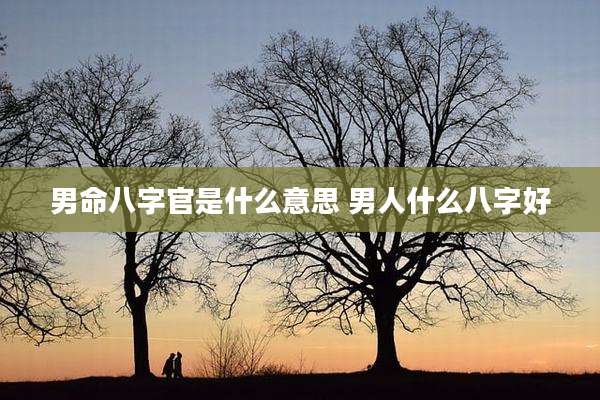男命八字官是什么意思 男人什么八字好