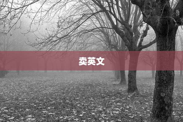 卖英文